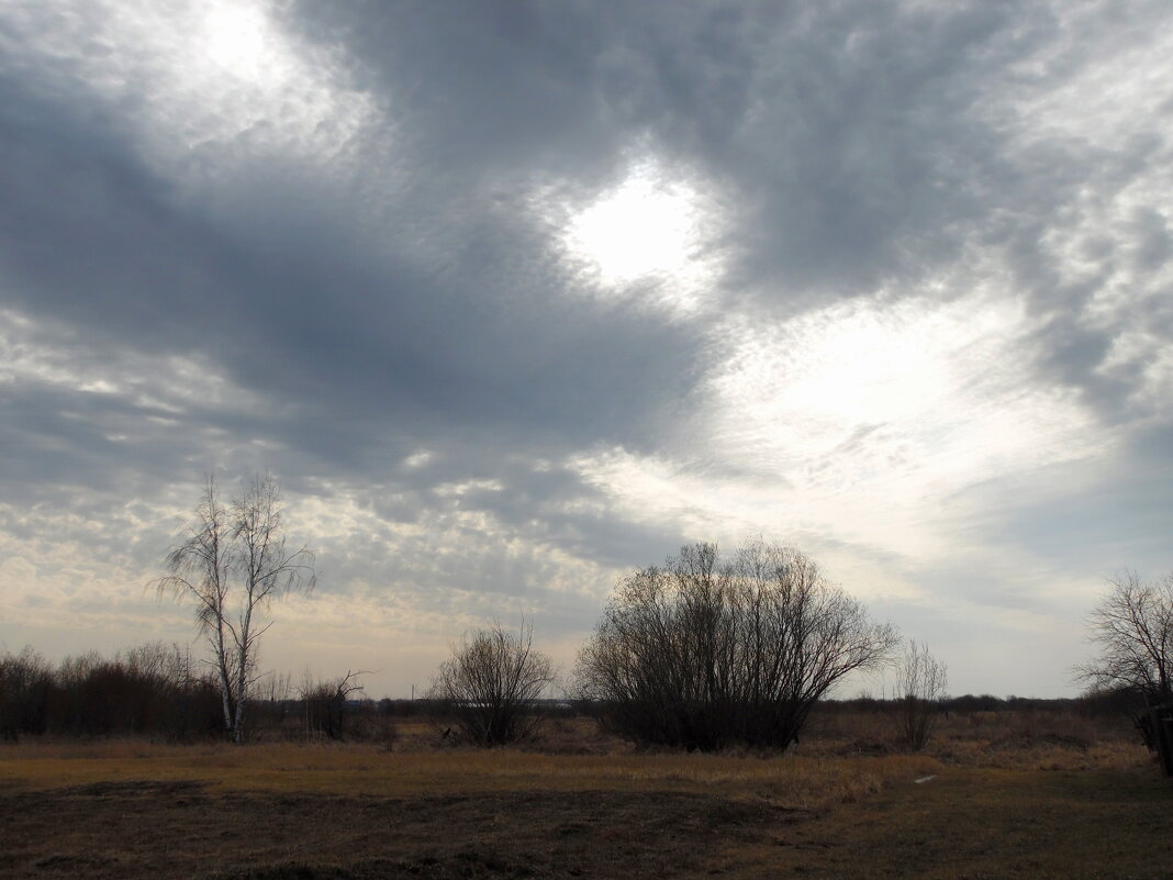 Перламутровое небо. - nadyasilyuk Вознюк