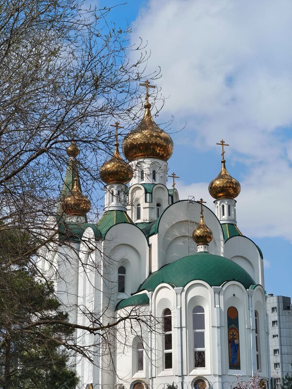 Свято-Духов храм. Краснодар - Валерий Ткаченко