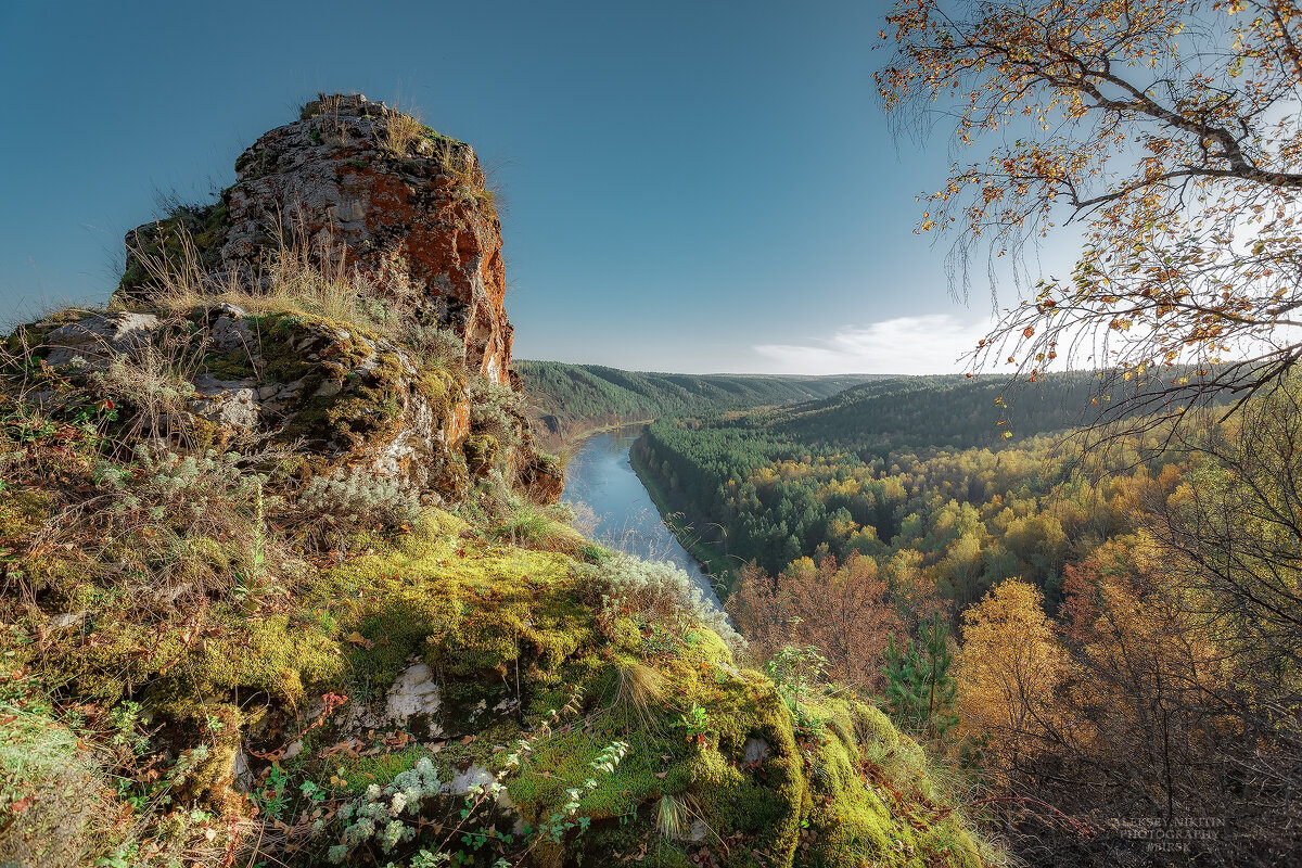 Мох на скале - NikitinAleks 