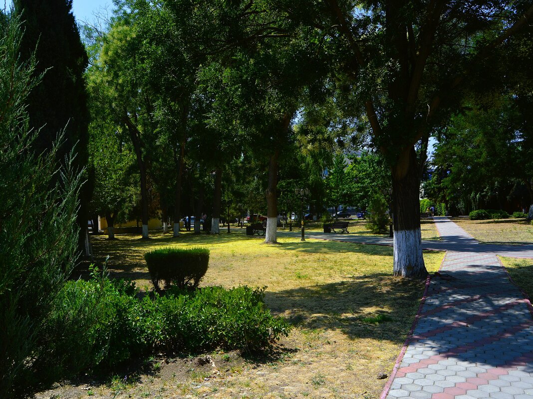 Керчь. Сквер им. Т.Г. Шевченко летом. - Пётр Чернега