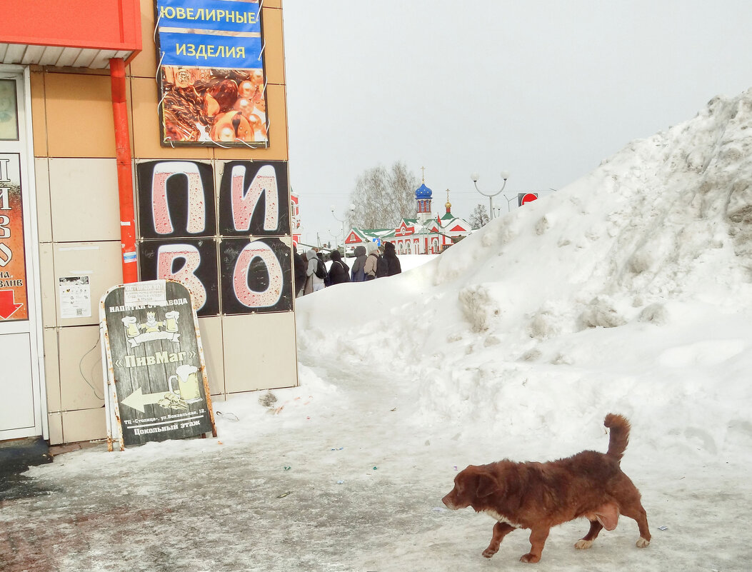 Семь шагов за горизонт - Maria Rainer
