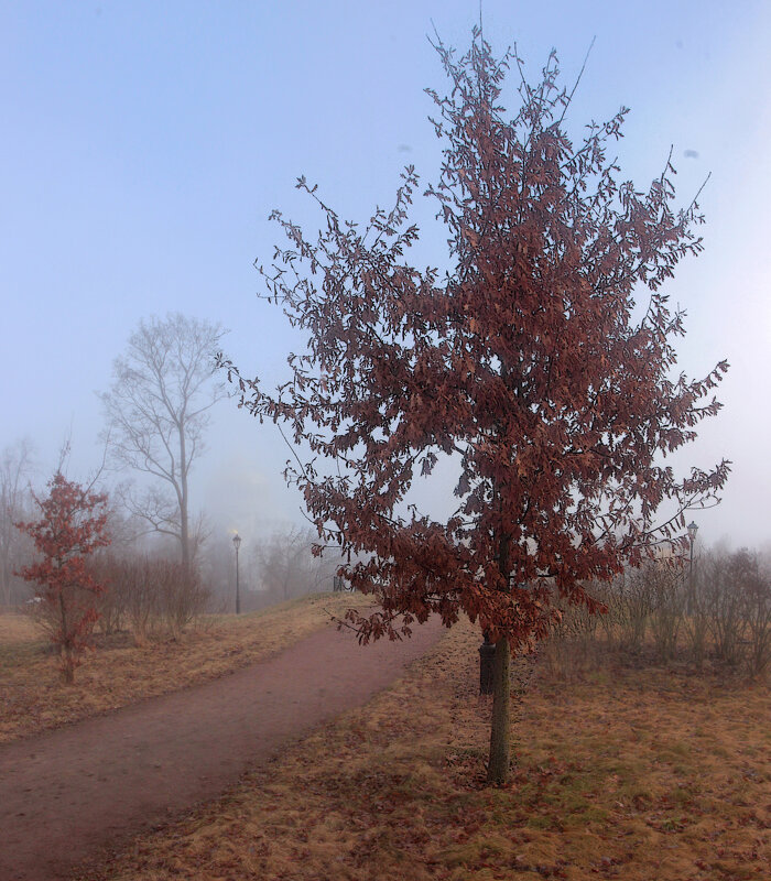 *** - Сергей Григорьев