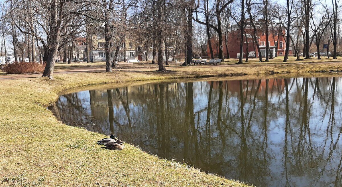 Вот и апрель пришел... - Наталья Герасимова