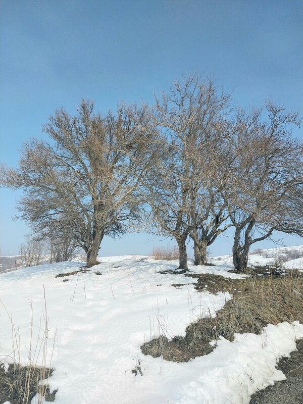 Ак Булак. Талгар. - Murat Bukaev 