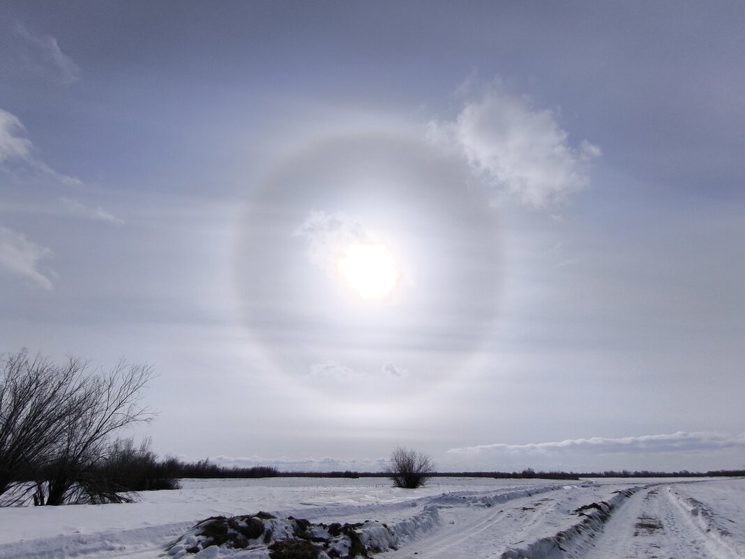 Весна - Anna Ivanova