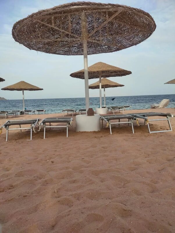 Египет. Шарм-эль-Шейх - Ирэн 