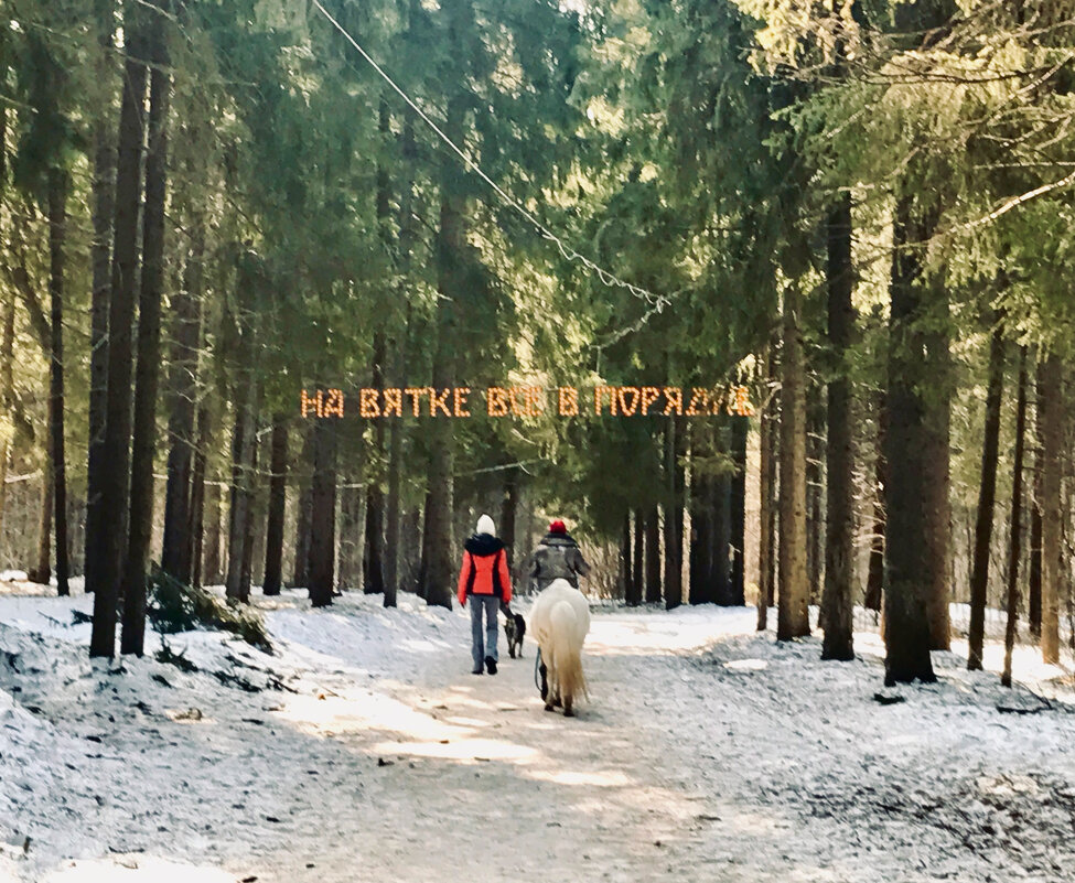 На Вятке все в порядке) - Татьяна 