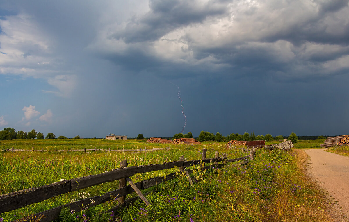 Летняя гроза - Crazy Bee