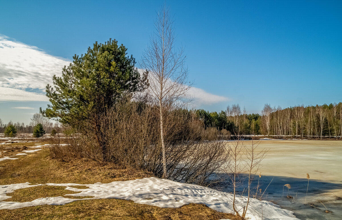 На исходе марта 5 - Андрей Дворников