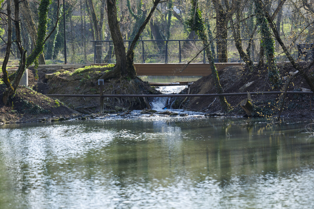 Весна - Светлана Тихонина