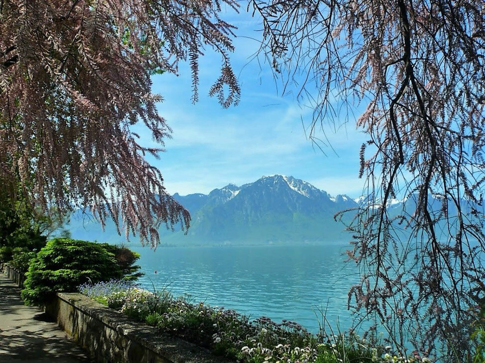 Озеро Леман - Галина 