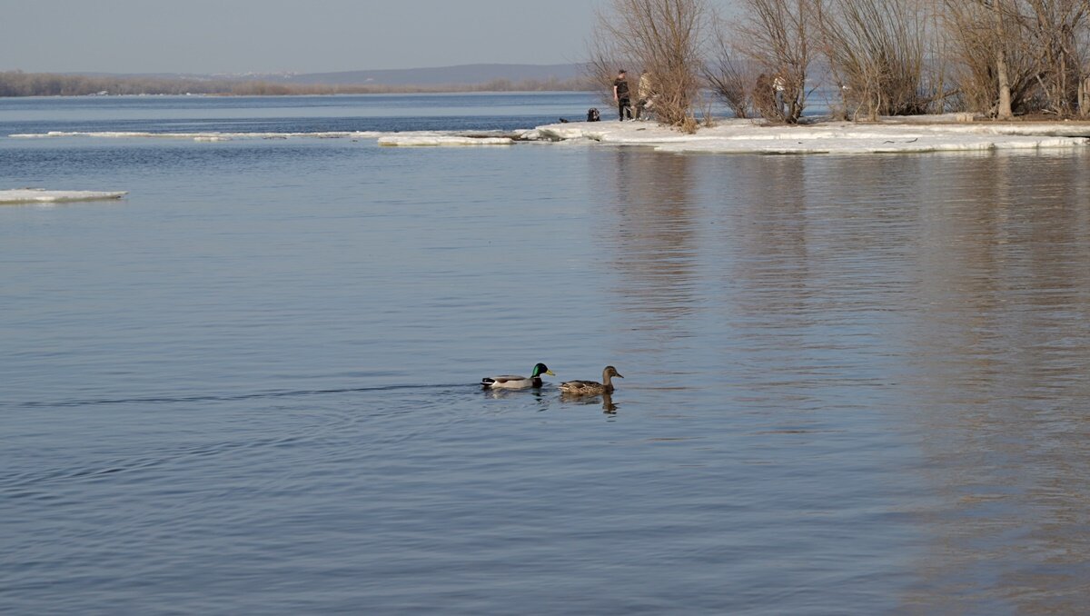 Прощай,  Зима... Эпизод 2. - Алекс Б-в
