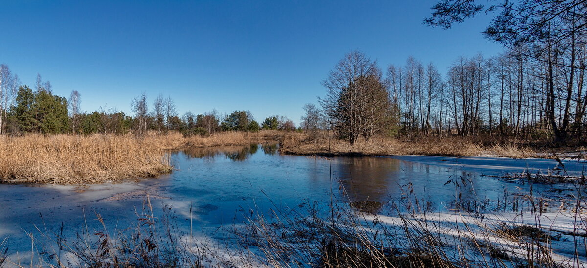 *** - Геннадий Порохов