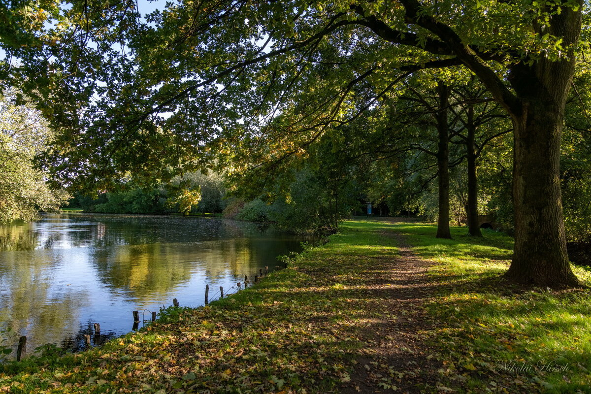 *** - Николай Гирш