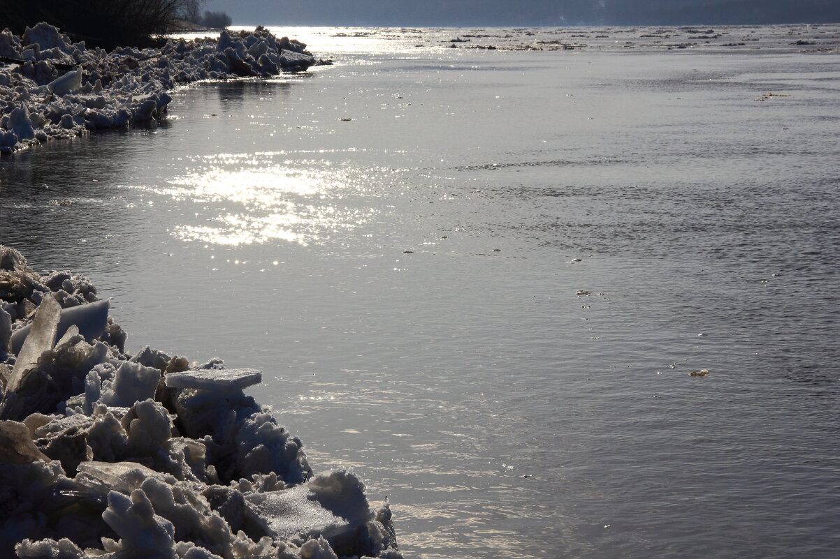 С солнцем не поспоришь... - Евгений Корьевщиков