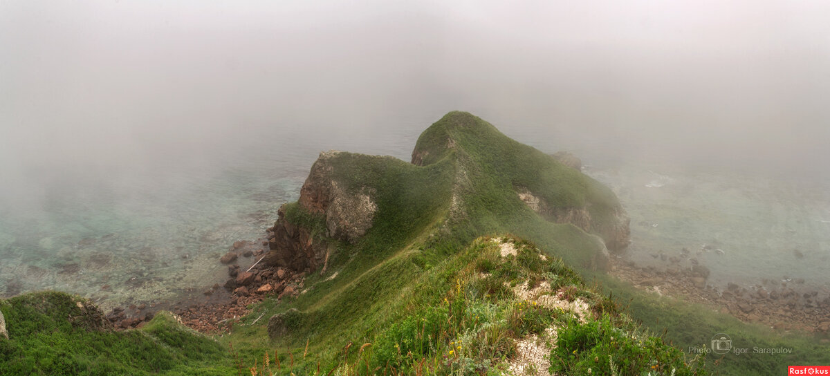 Туман на хребте слона - Игорь Сарапулов