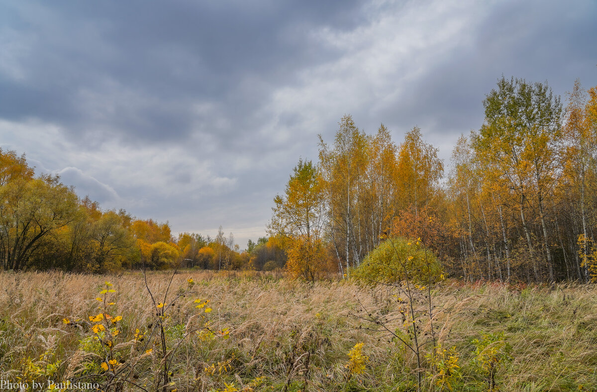 В поле... - Владимир Жданов