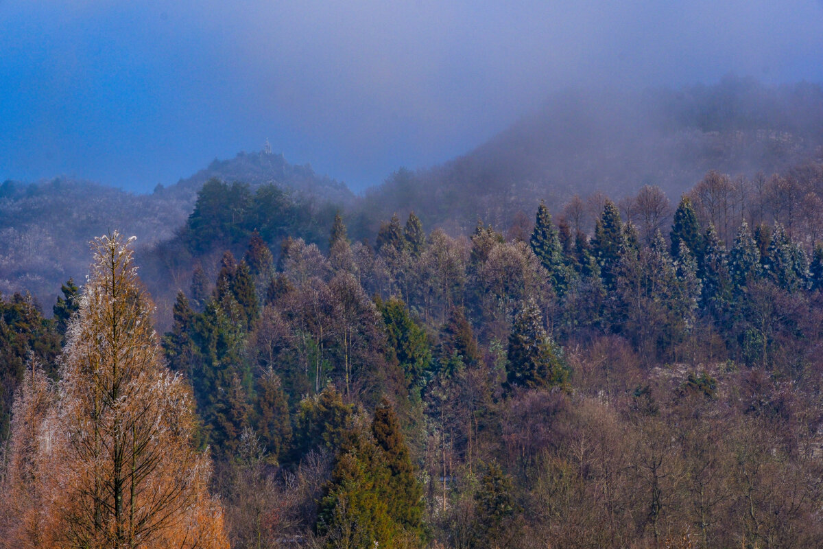 Туман утром - Георгий А
