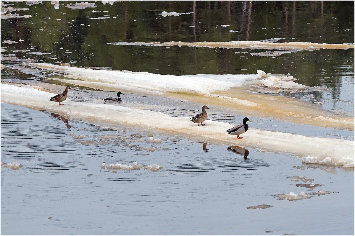 Дрейфуем,однако... - Валентин Котляров