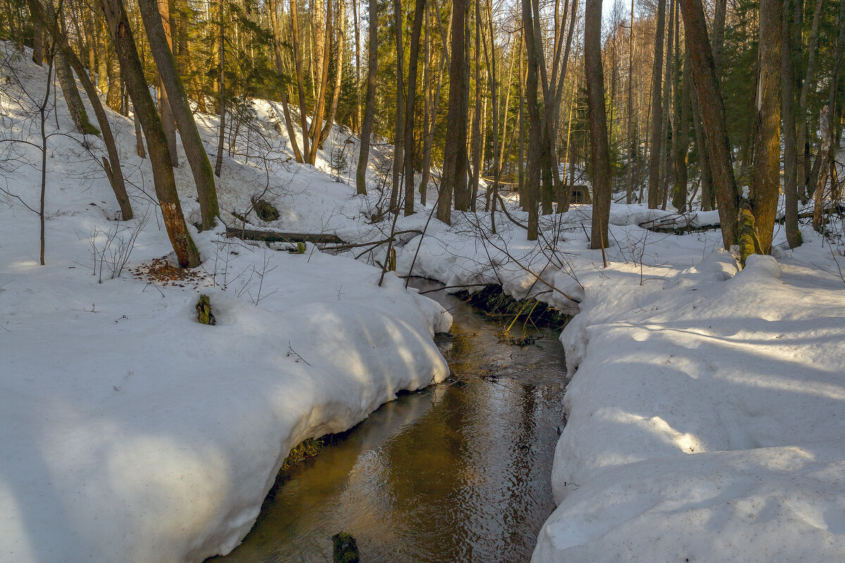 Мартовский ручей - Сергей Цветков