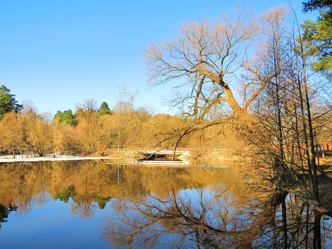 Освободившись ото льда - Андрей Снегерёв