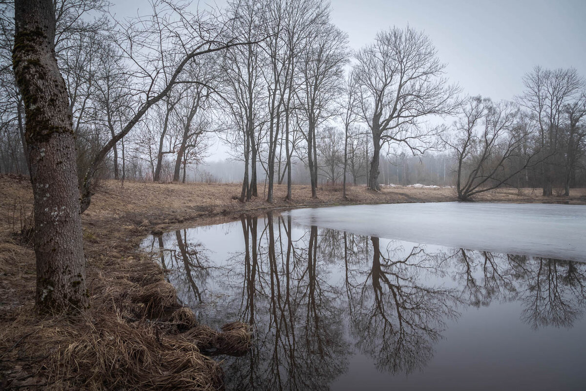 **** - Елизавета .