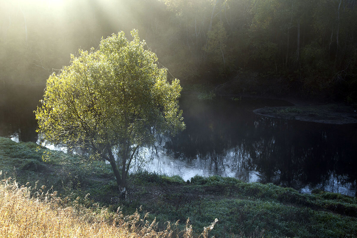 Пейзаж осеннего утра - Сергей Сомихин