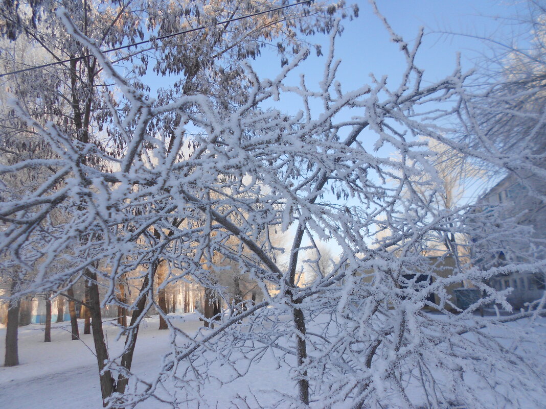 март - Елена Шаламова