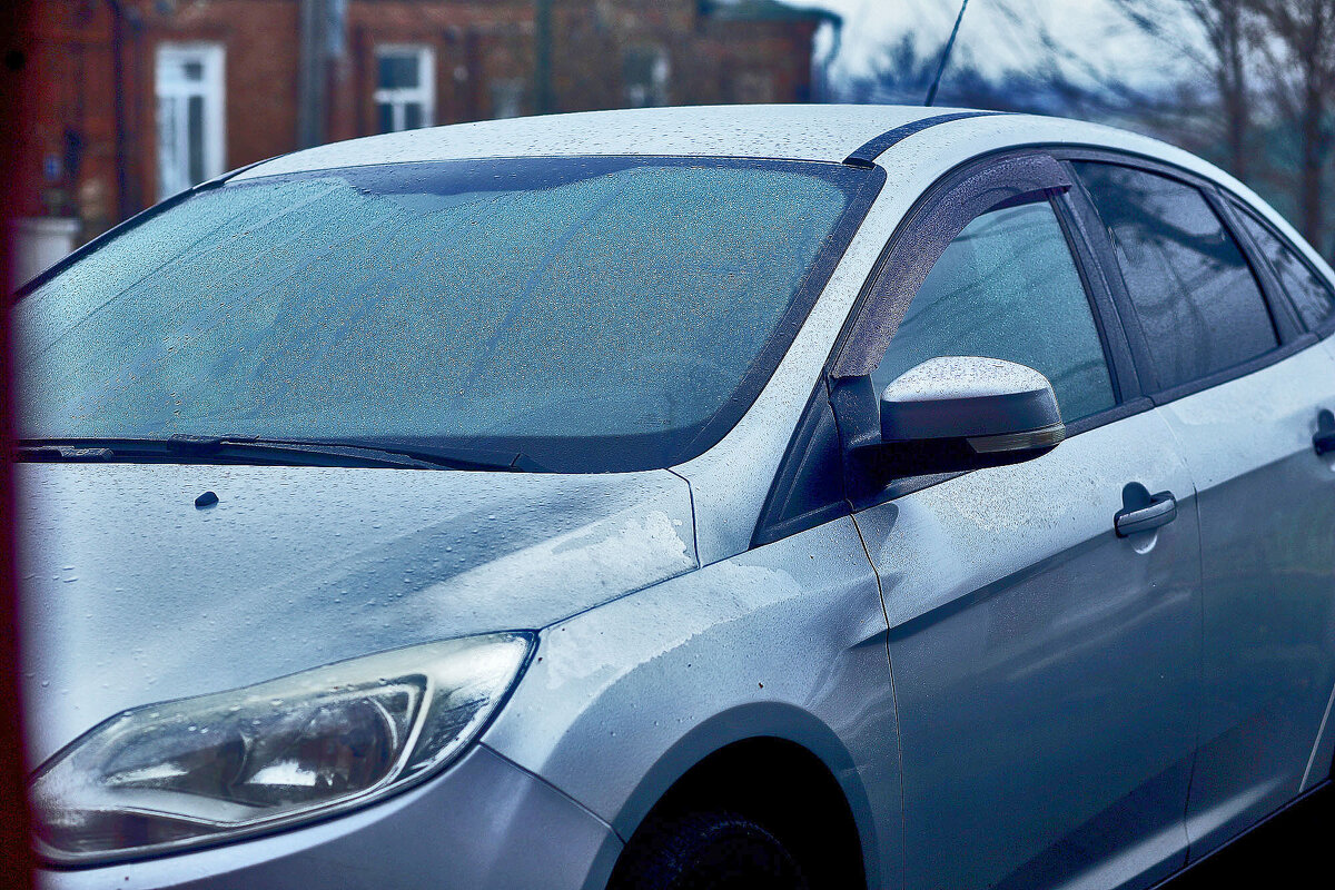 Сосед приехал - Юрий Гайворонскiий