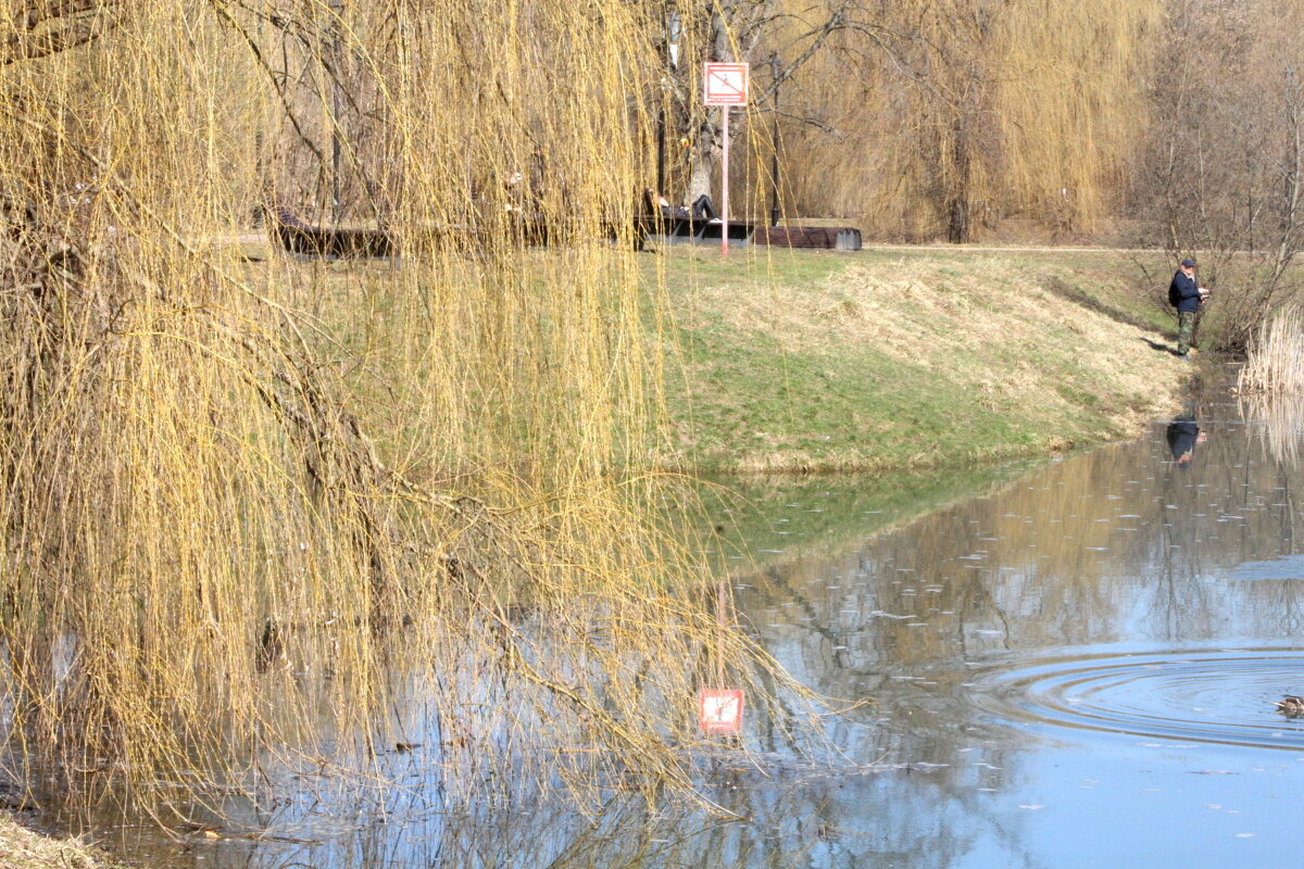 Весенняя мода - олег свирский 