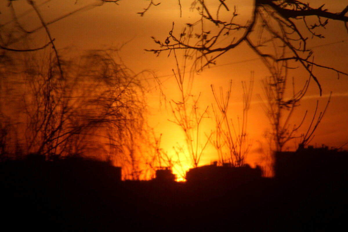 Новый день - олег свирский 