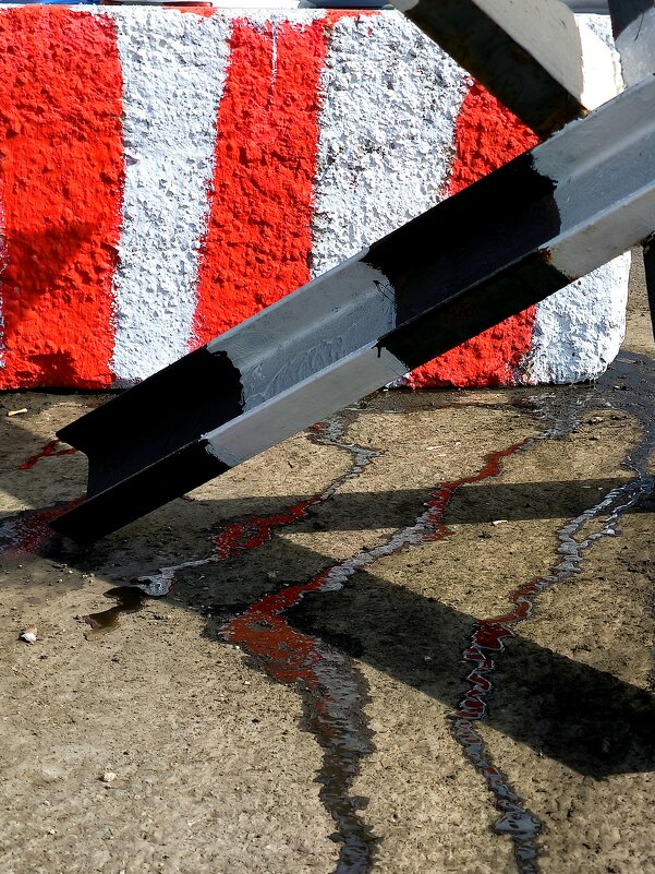 * - Сергей Полянский