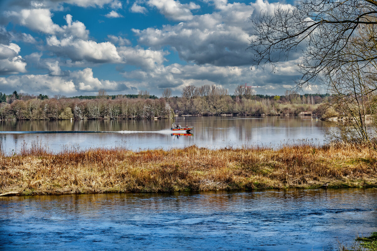 (°-°) - Jakob Dick