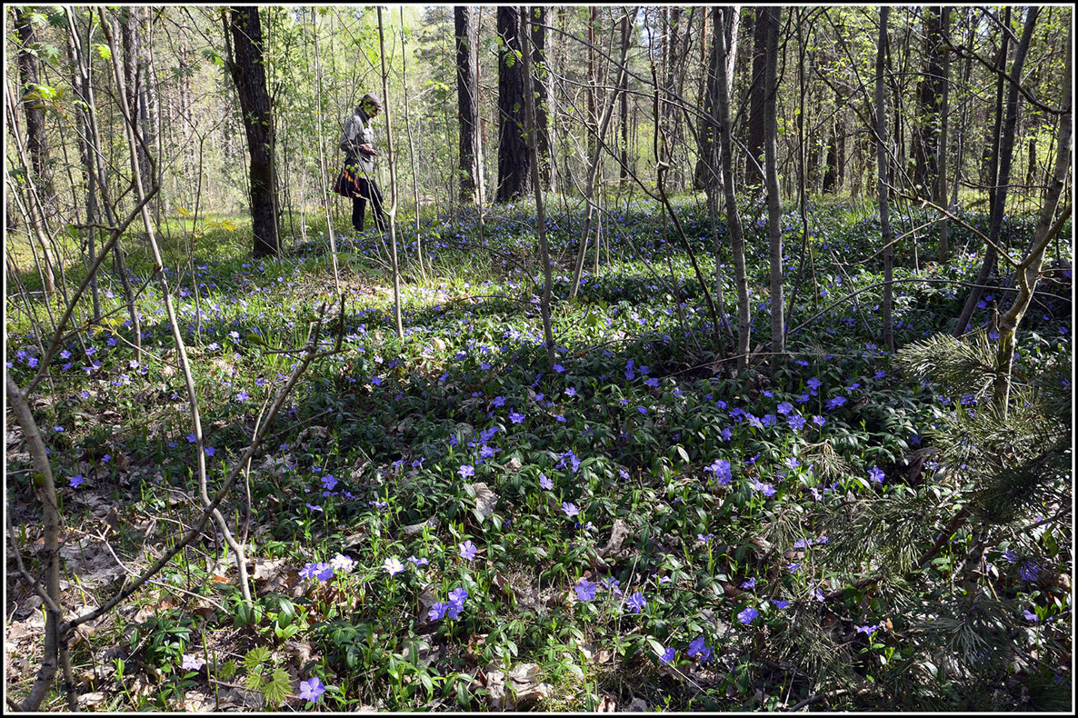 Весна - Aleksandr Gal