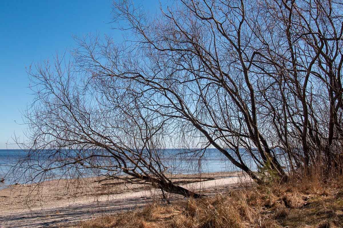 *** - Геннадий Порохов