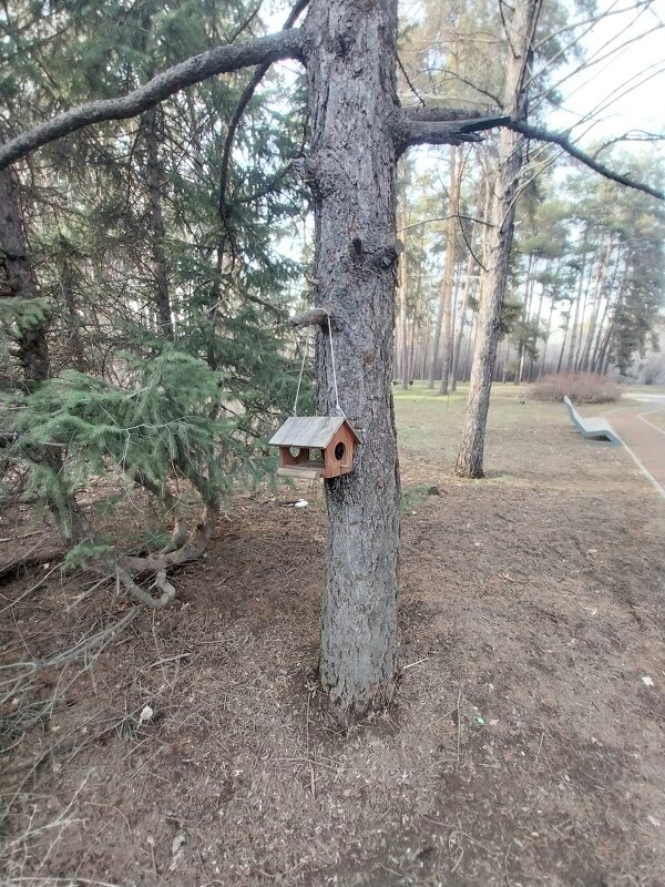 Ботанический сад. - Murat Bukaev 