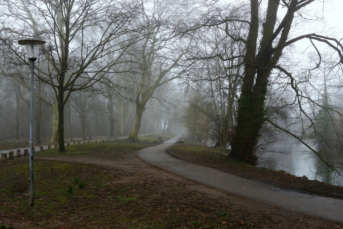 Туманный февраль - Юрий. Шмаков