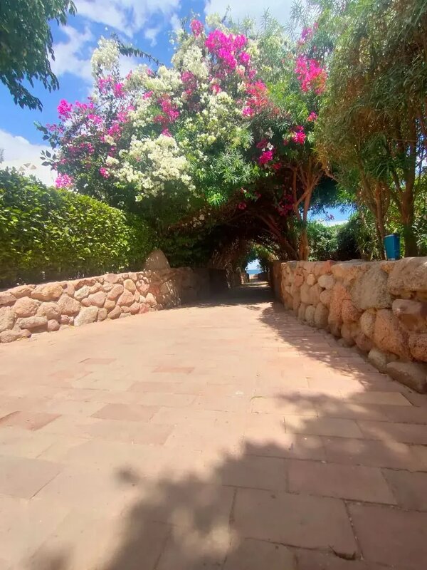 Египет. Шарм-эль-Шейх - Ирэн 