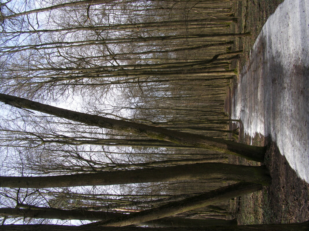 Ранняя весна 5 - Анна Воробьева