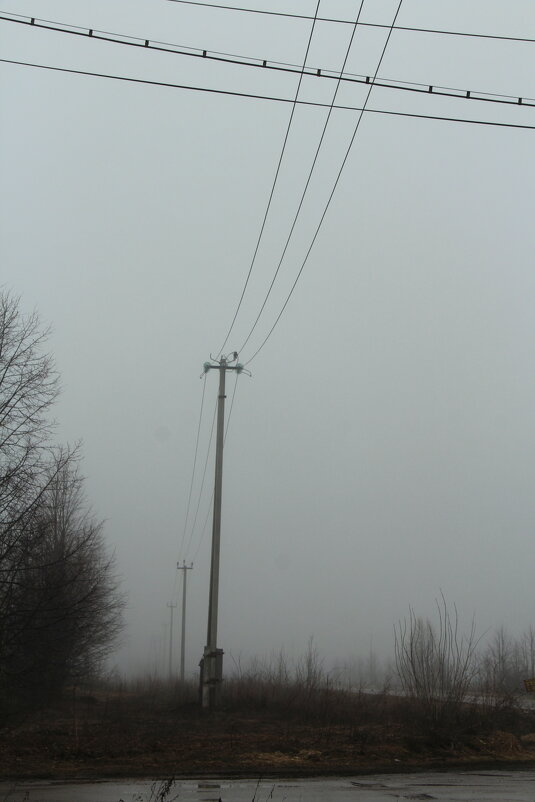 Апрельская диагональ - Елена Минина