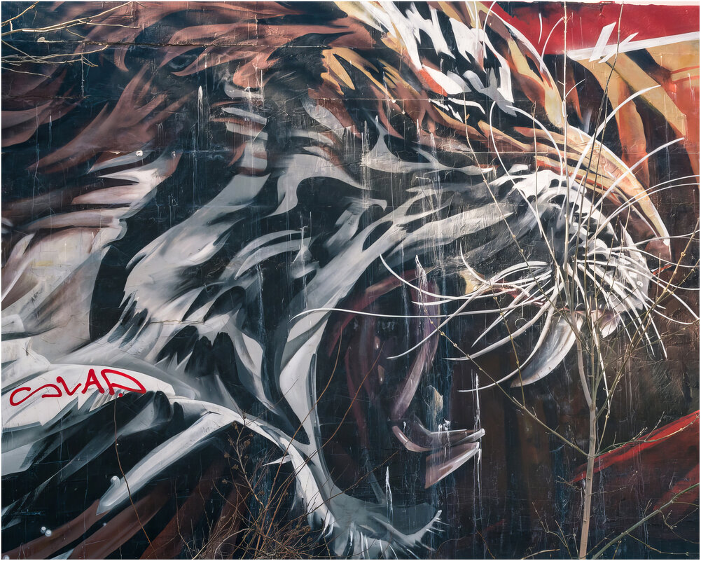 *** - someone somewere