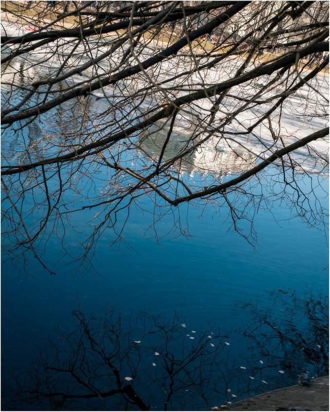 *** - someone somewere