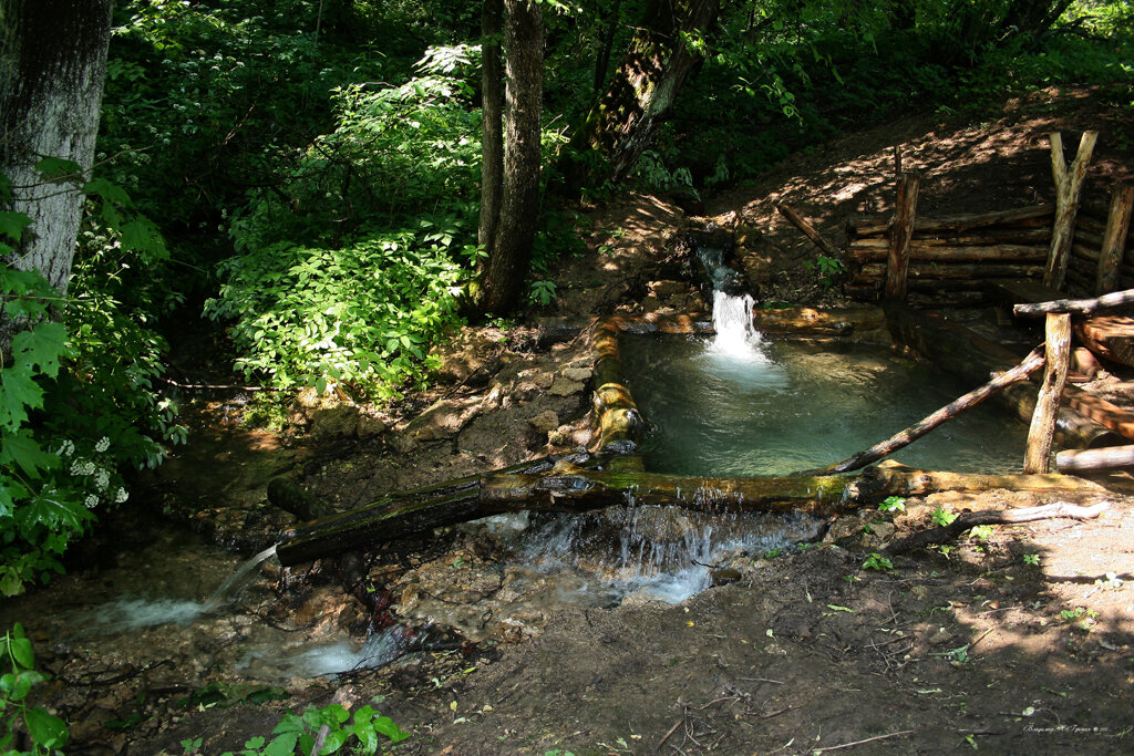 Купель - Владимир Гришин
