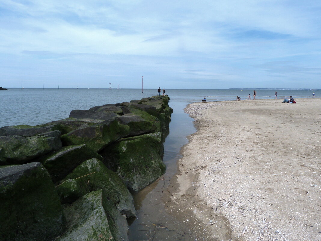 На берегу Ла-Манша - Мишель71 