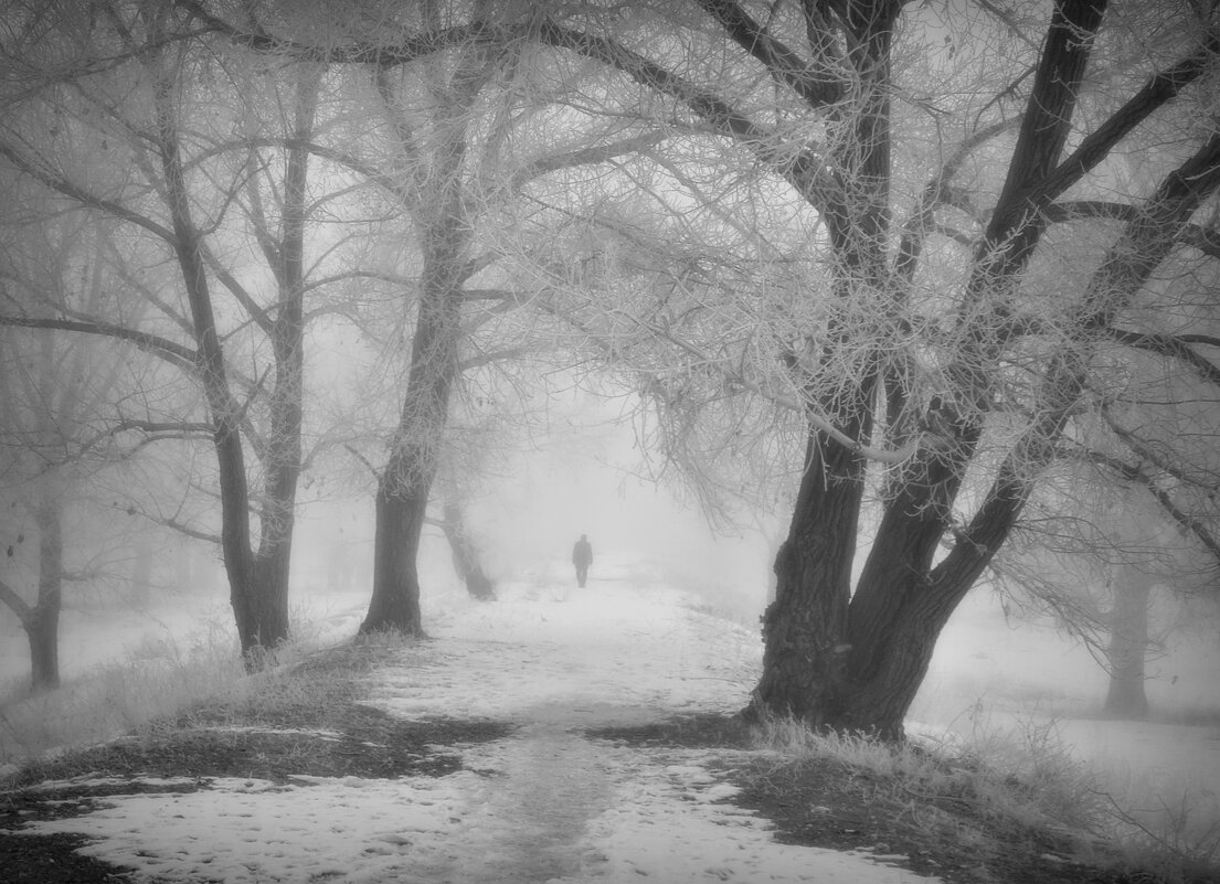 - - Aндрей Антонов