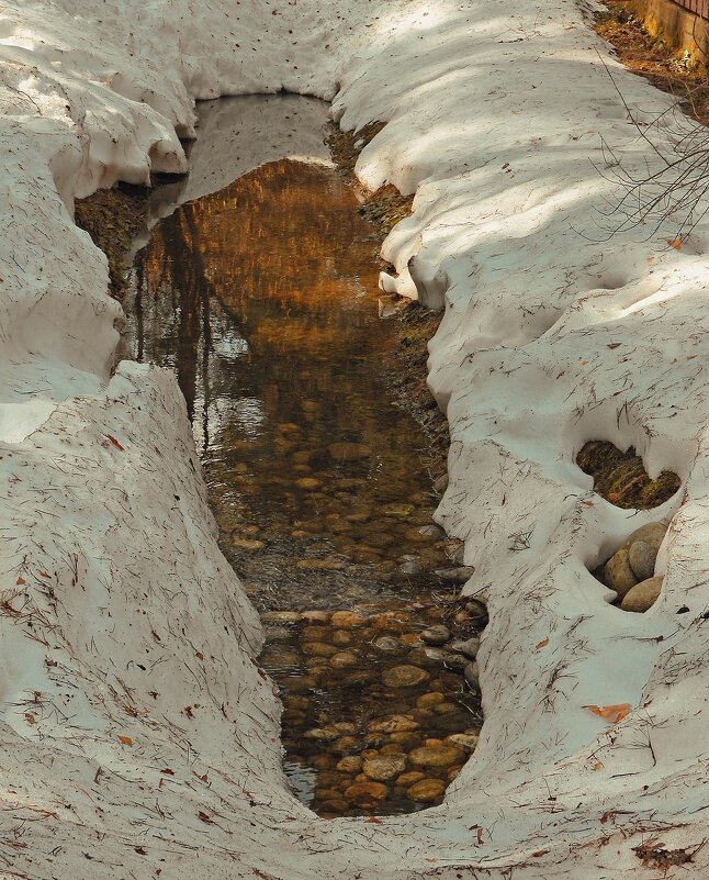 Весна пришла - Леонид leo