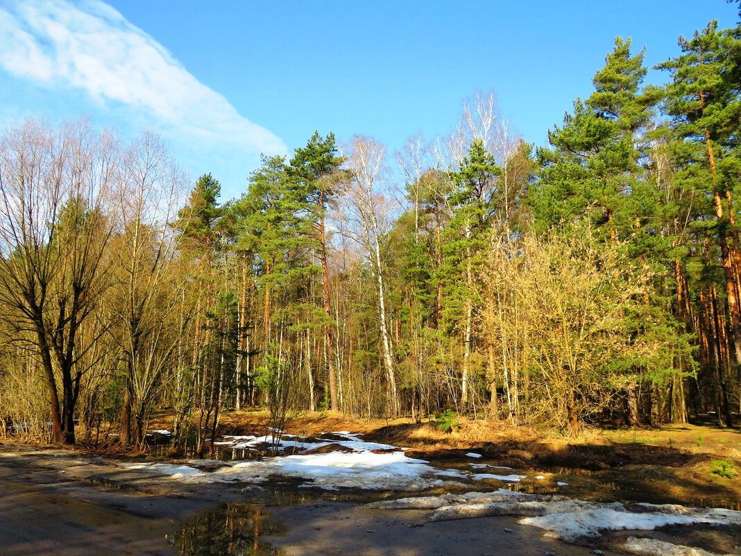 Солнечный день весны - Андрей Снегерёв