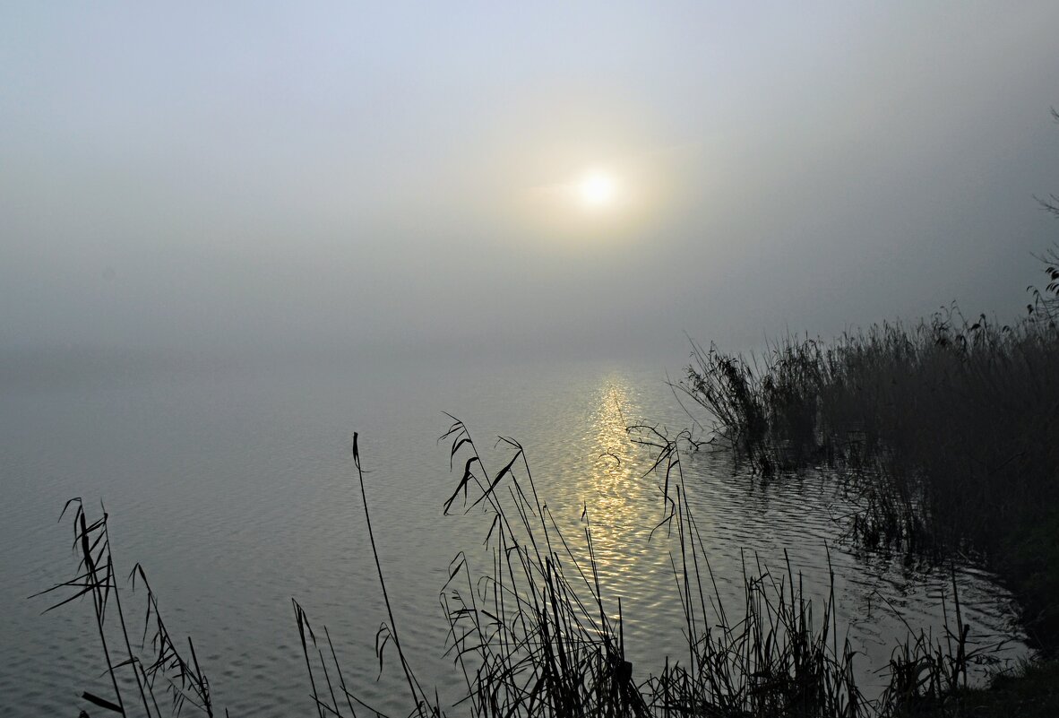 Весеннее утро. - Владимир 