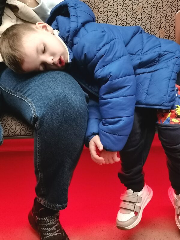 Самый крепкий сон в метро. - Любимова Ольга 