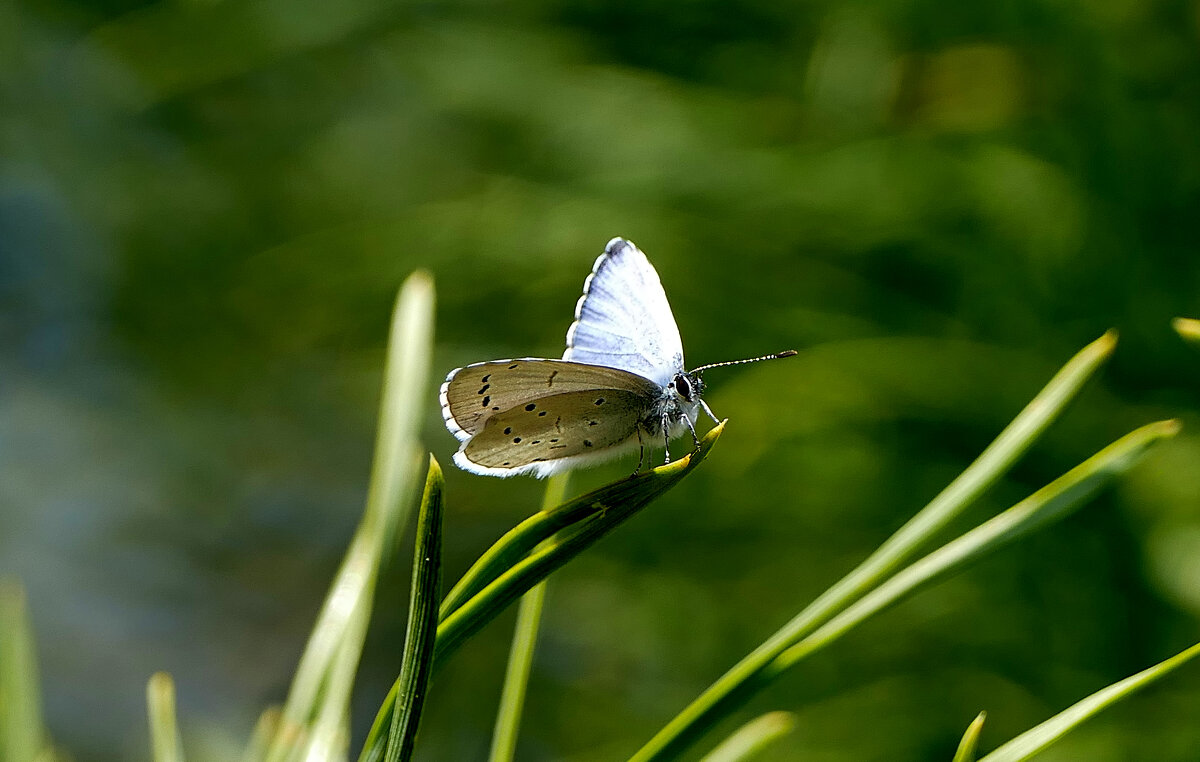 из снятого сегодня 13 - Александр Прокудин